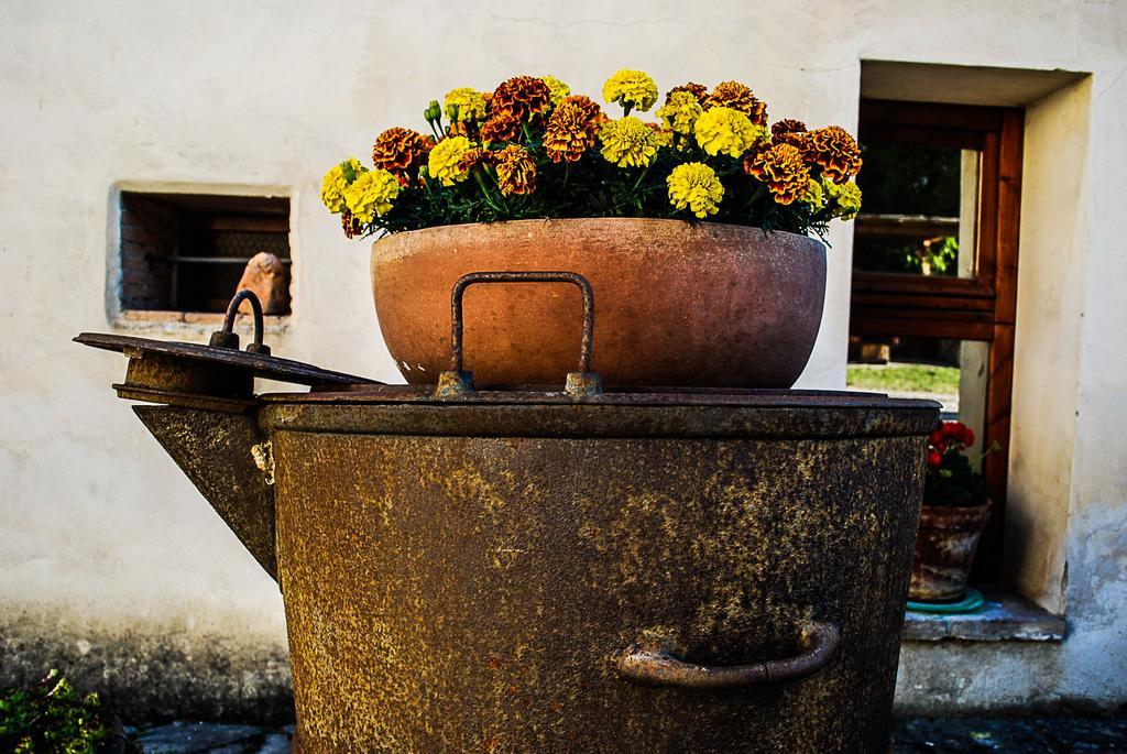 Villa Bio-Agriturismo La Ginestra San Casciano in Val di Pesa Exterior foto